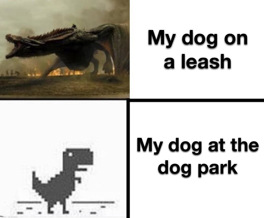 Dog on leash: introvert. Dog park mode: chaos demon - meme