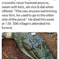 Good boi crocodilo