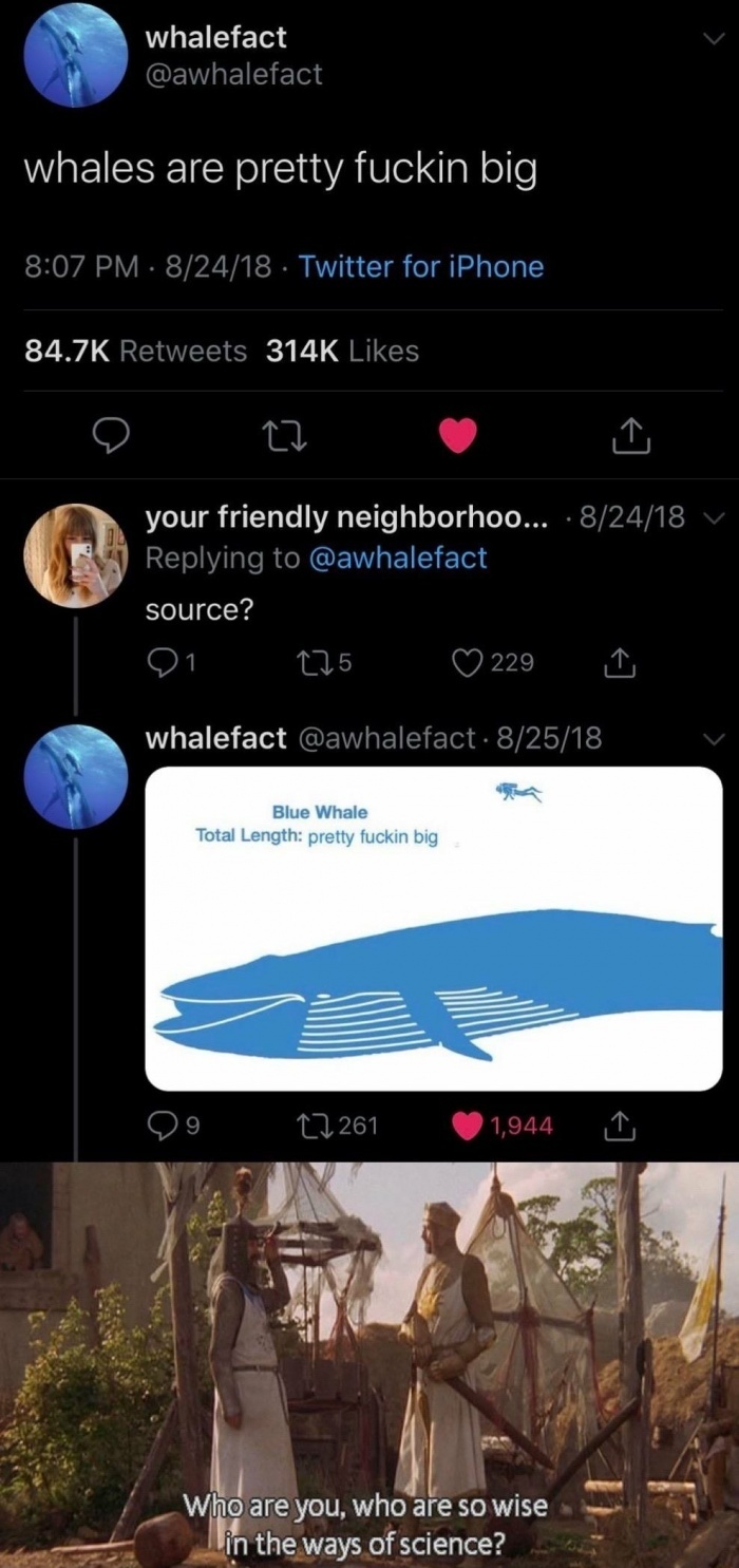 Whalefact - meme