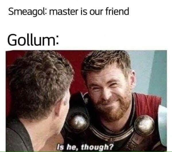 Smeagol memes are my favorite : r/lotrmemes