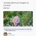 commented item thumbnail