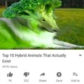 commented item thumbnail