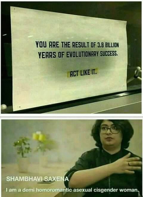 This is why I doubt evolution - meme