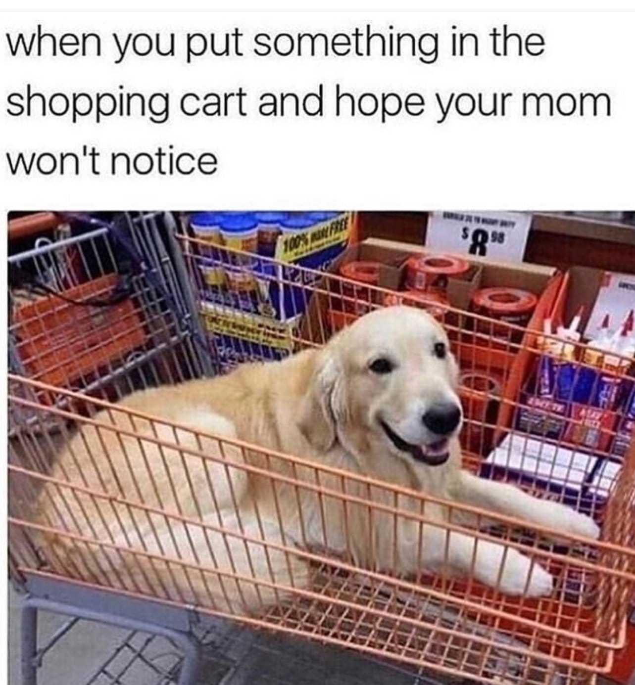 Shopping cart - meme