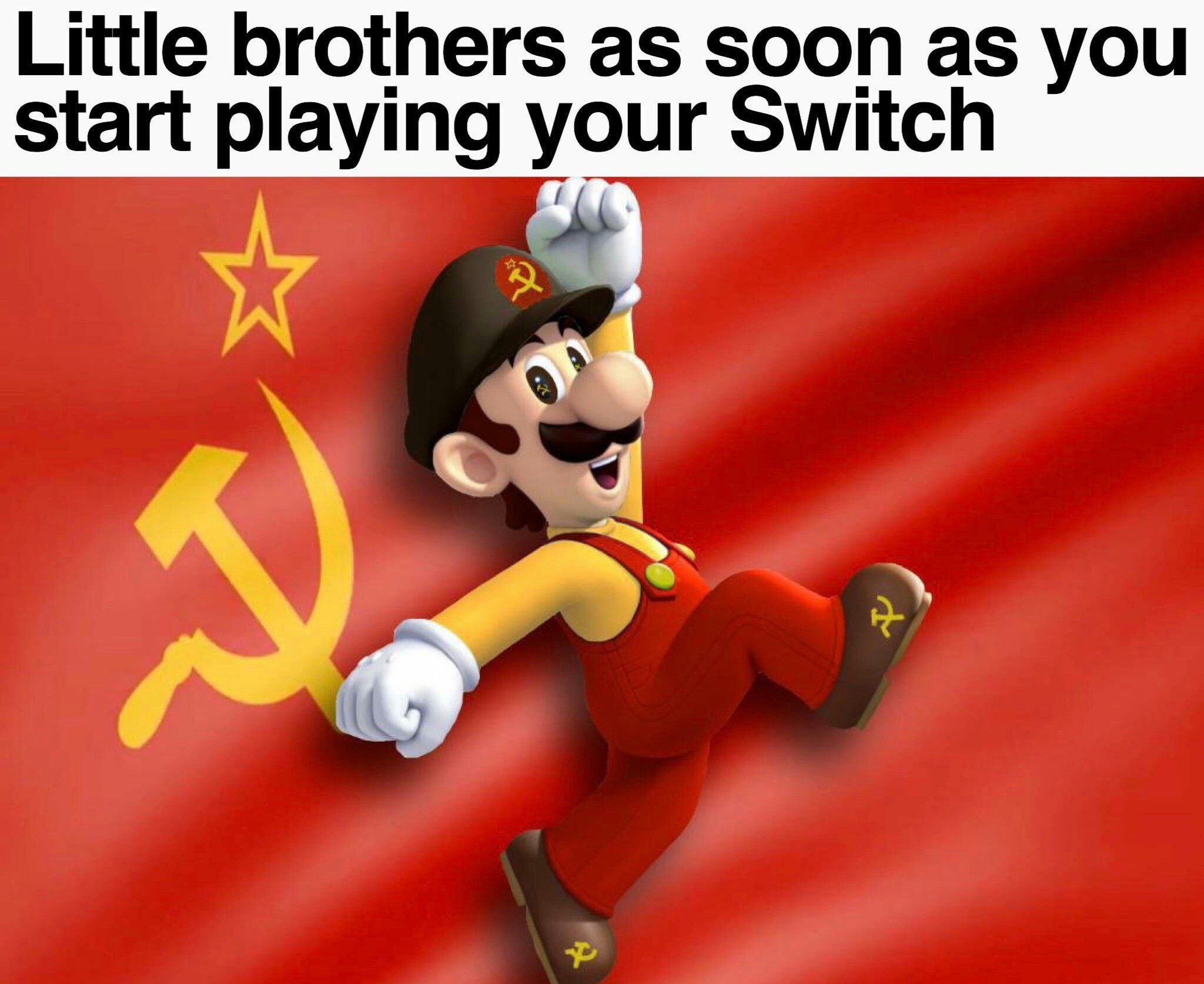 Irmao do Mario comunista, fodasse - meme
