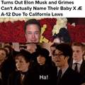Silly Elon