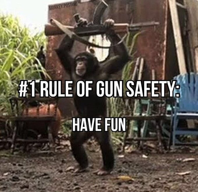 Gun control - meme