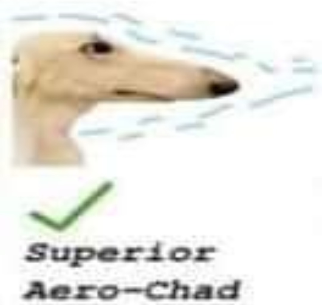 ✓ Superior Aero-Chad - meme