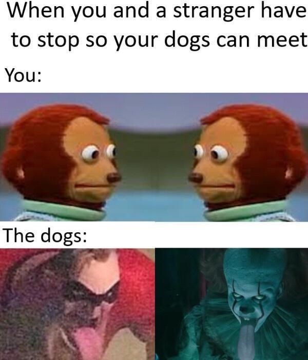 DA DOGS - meme