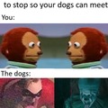 DA DOGS