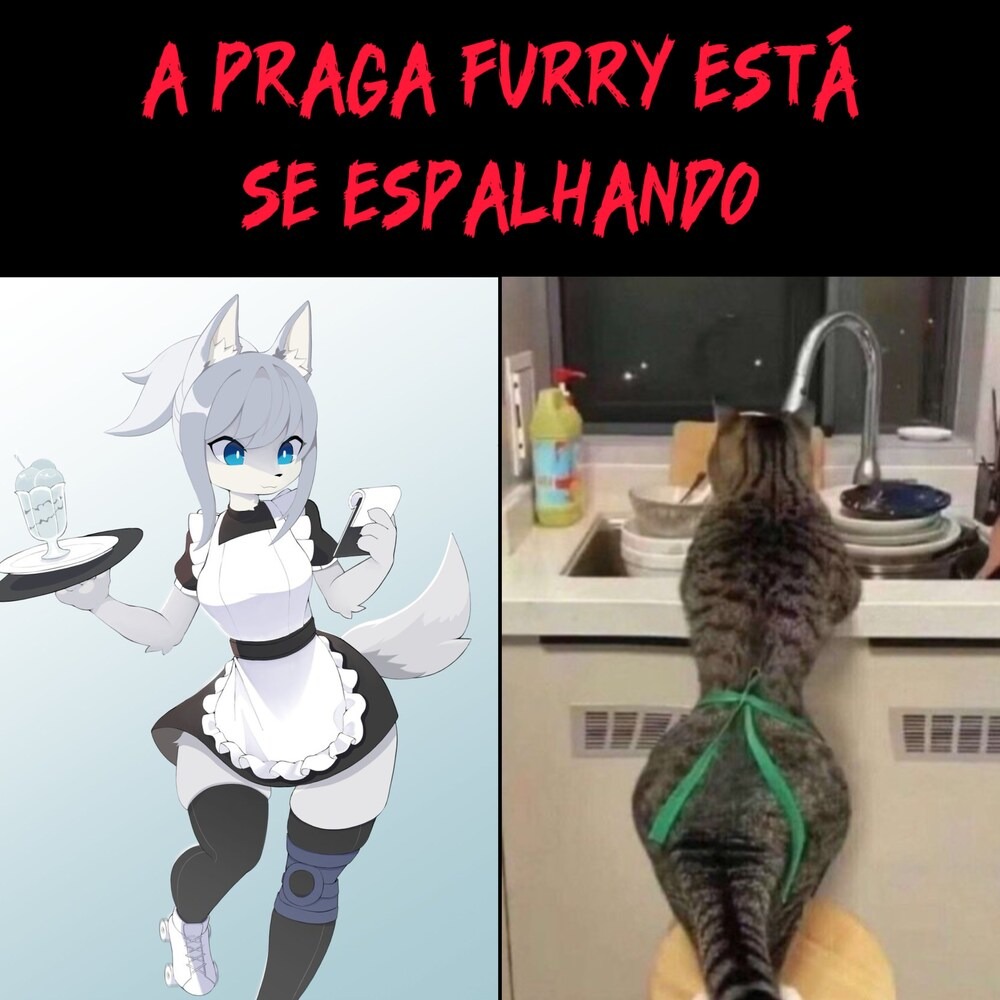 Se o gato pudesse lavar a louça - meme