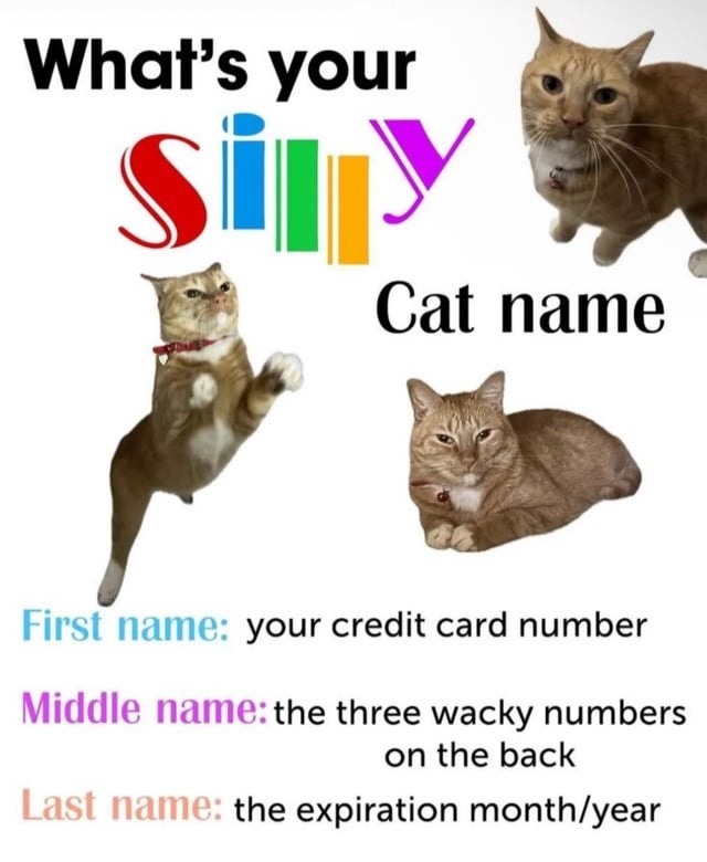 Name your cat using your credit card info. Trust me bro - meme