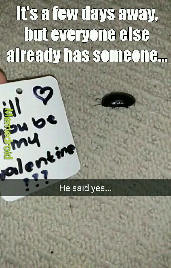 Will you be my Valentine? - meme