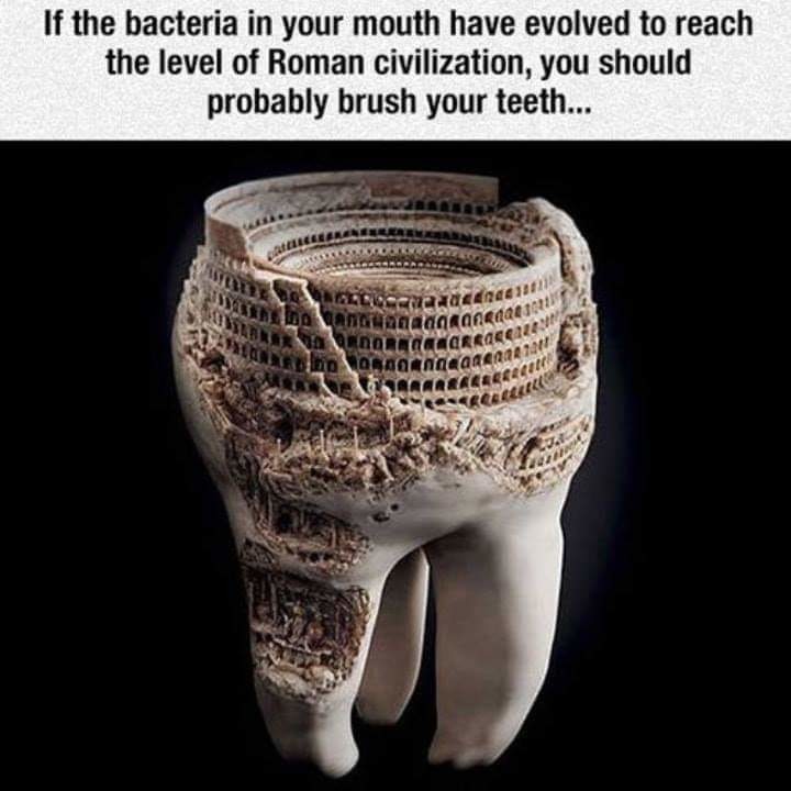 11/10 dentists agree - meme