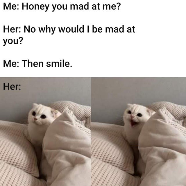Honey you mad at me? - meme