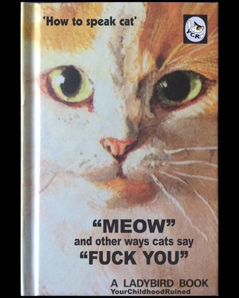 You can learn rite meow, if uou read this book... - meme