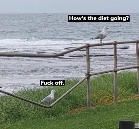 Diet memes