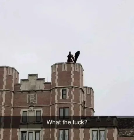 The defender - meme