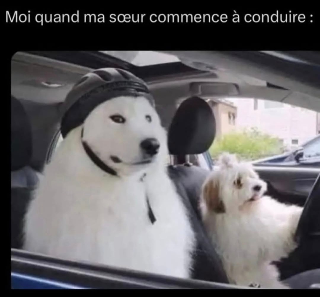 ma tête quand ma sœur prend le volant pour la 1ère fois - meme