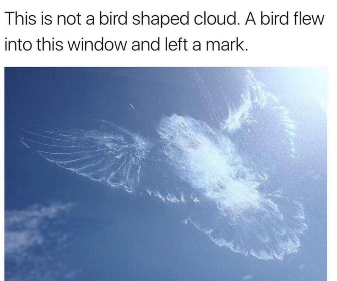 The best Window memes :) Memedroid