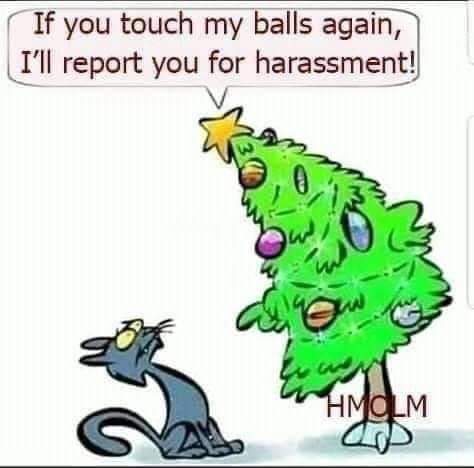 Fuck a Christmas tree - meme
