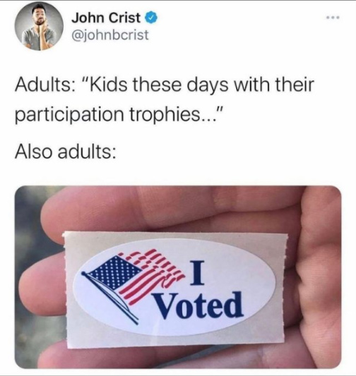 Voting - meme