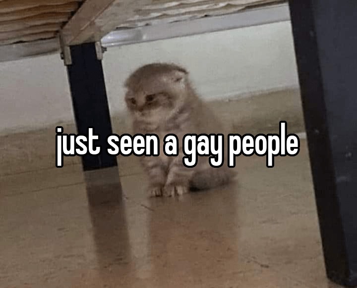 Gay people - meme