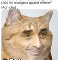 Chat