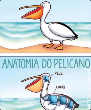 Pele cano - meme