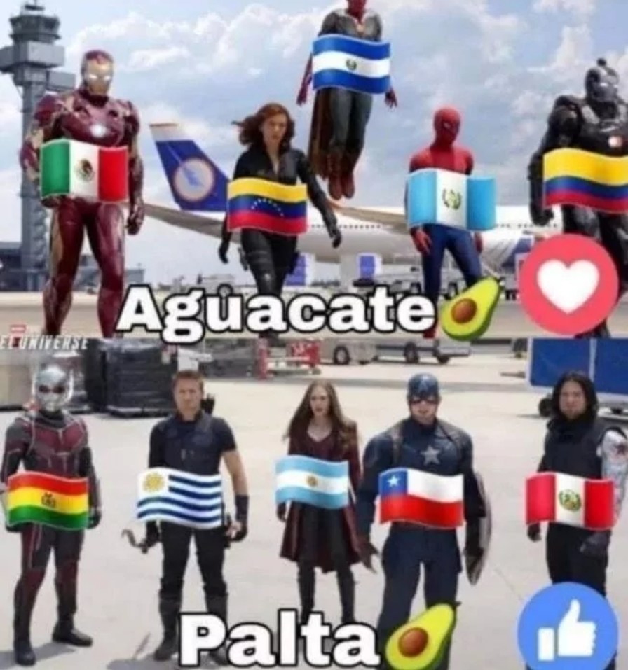 DECIRLE PALTA A LA AGUACUATE/AVOCADO EN PLENO 2025 = NPC - meme