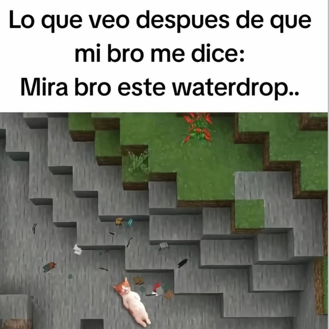 Mi bro diciendo que vea este waterdrop y ya estoy viendo el piso - meme