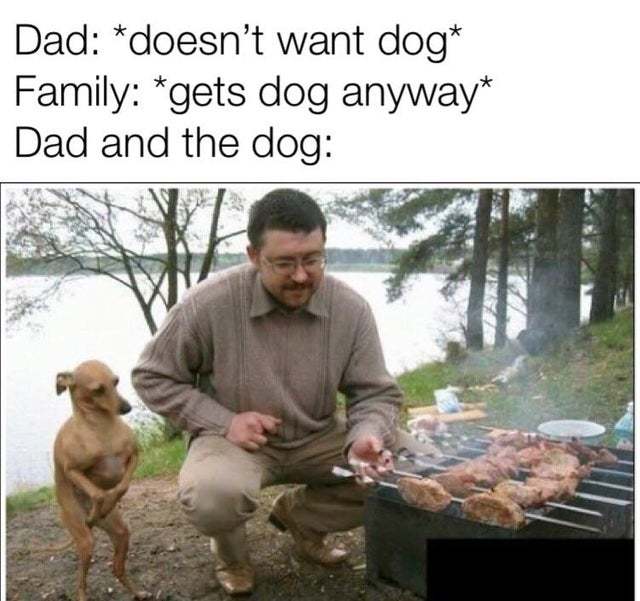 My dad didn't want a dog either - meme