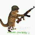 cat of duty modern warfare 2