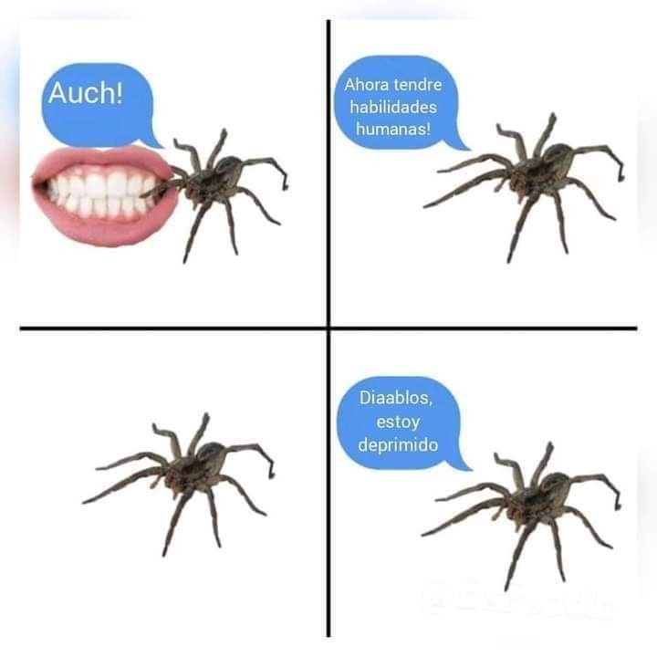 Habilidades humanas adquiridas por una araña que fue mordida por un humano - meme