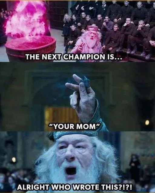 Dumbledore asked calmly - meme