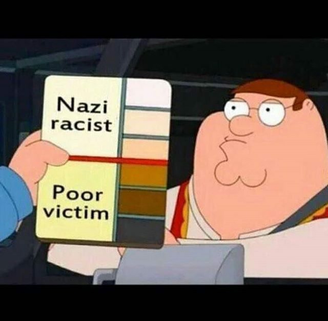 Im ABOVE the nazi racist scale - meme