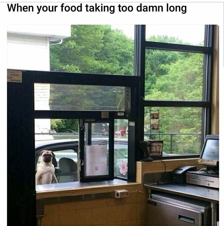 Doggo needs food - meme