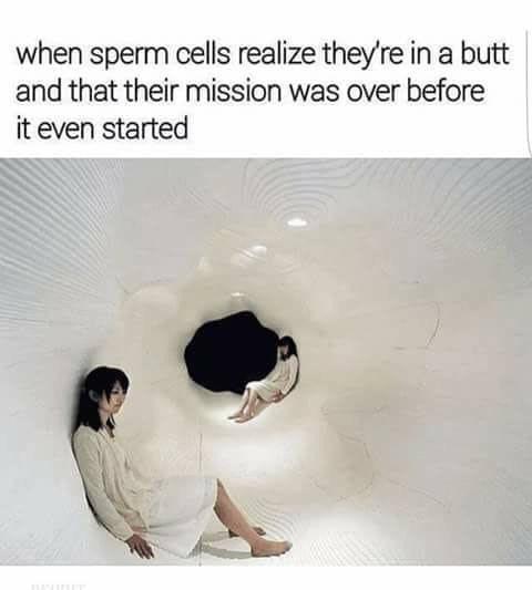 When sperm cells realize they are in a butt - meme