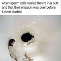 When sperm cells realize they are in a butt