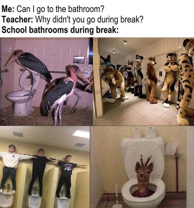 School bathrooms during break - meme