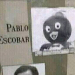 Nooo Pablo es Pablo escobar - meme