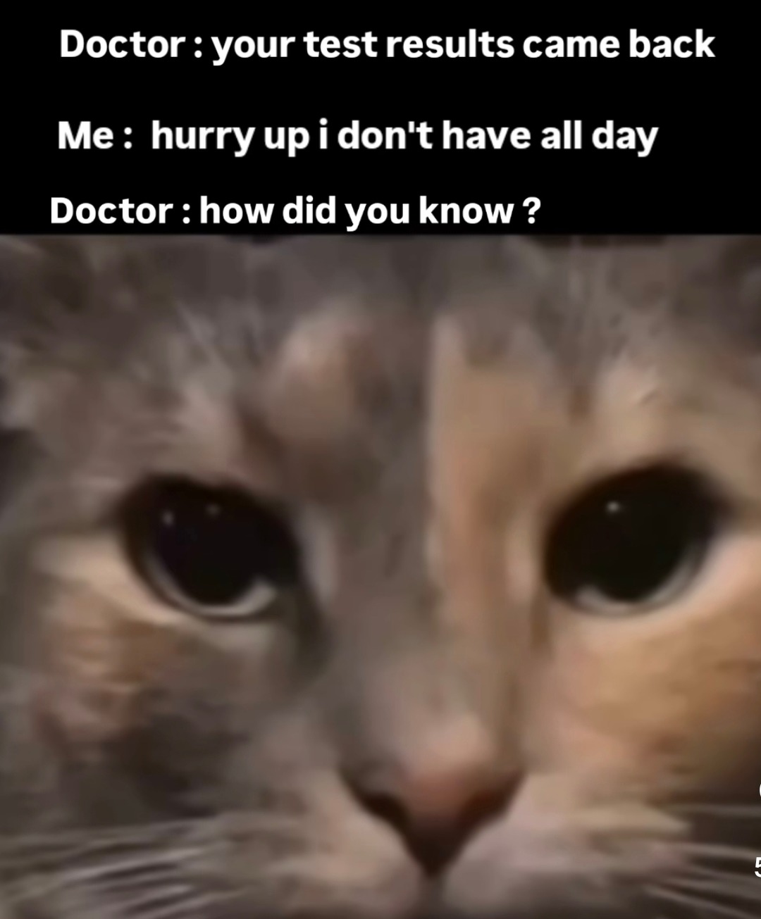 doc says I don’t have much time, how’d he know? - meme