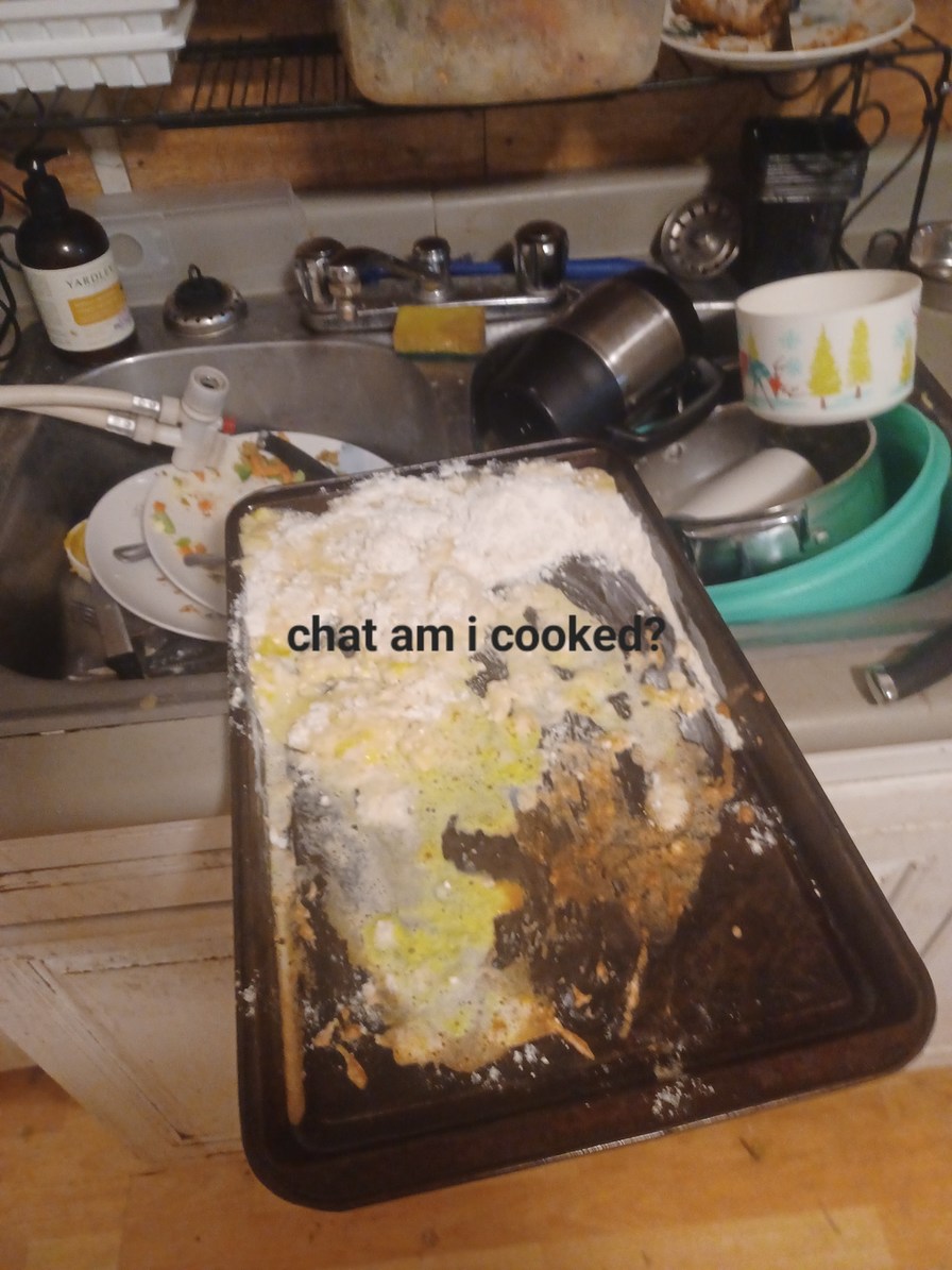 I made this last night. Is it good? - meme