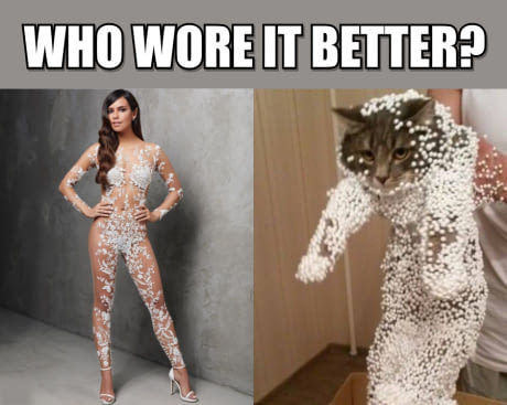 Follow 4 Follow - meme