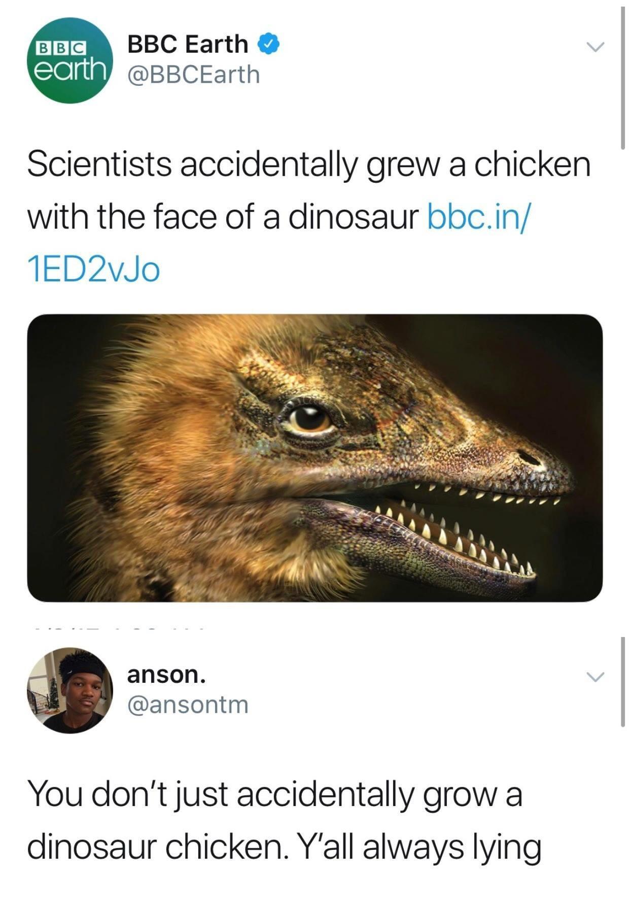 Accidentally? Chicken Dinosaur - meme