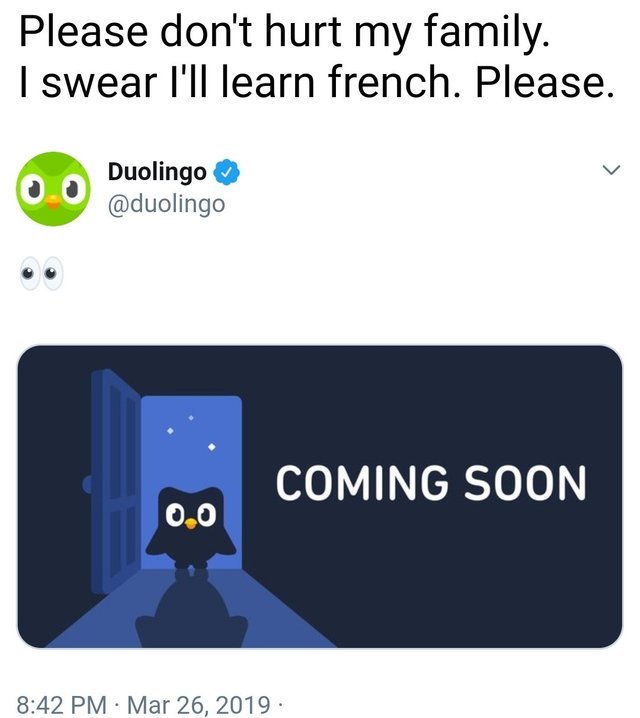 Please Duolingo don't hurt my family I swear I'll learn French. - meme