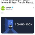 Please Duolingo don't hurt my family I swear I'll learn French.