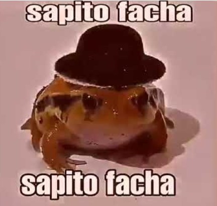 Sapito facha - meme