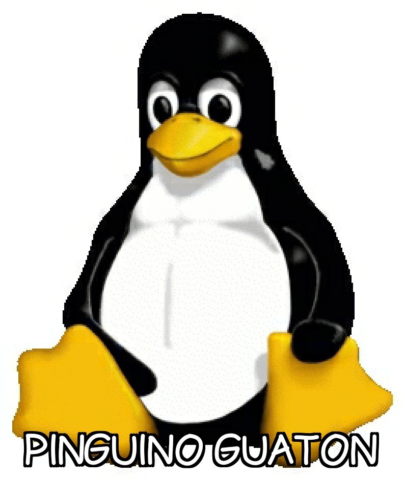 Pinguino Guaton - meme