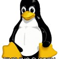 Pinguino Guaton